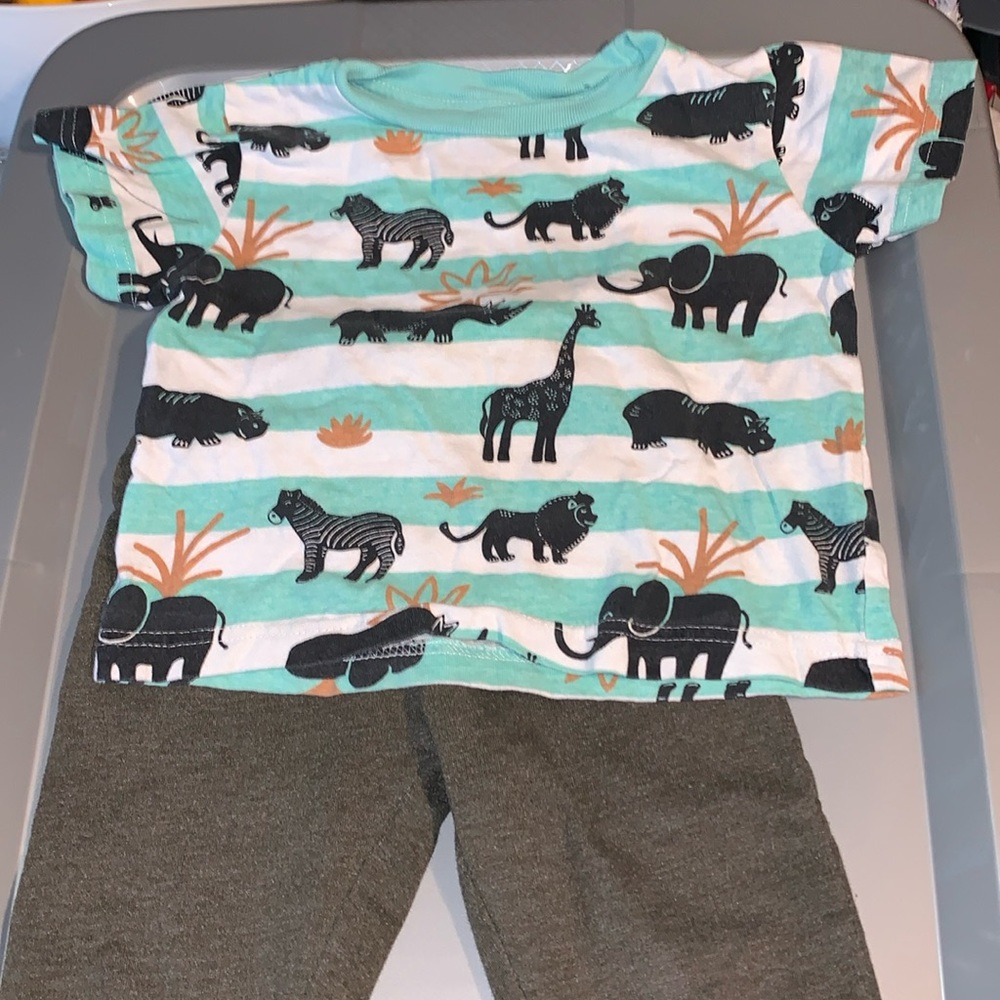 10 Threads wild animal T-Shirt and Alex &Jack Sweat pants